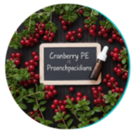 Cranberries